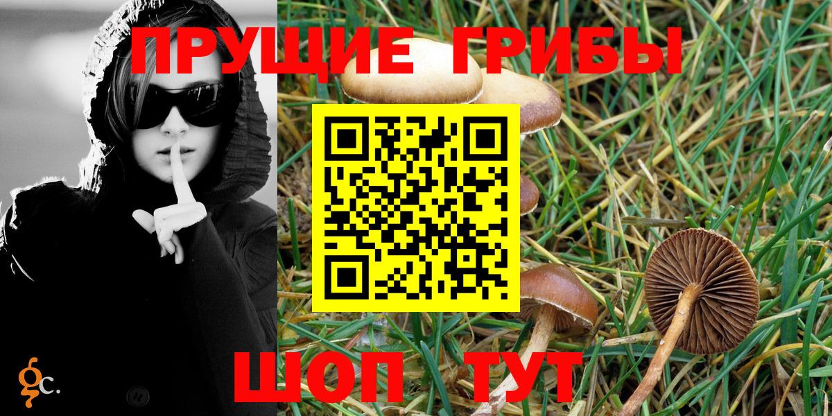 Новодвинск  Псилоцибиновые грибы Magic Shrooms  Вход с VPN 